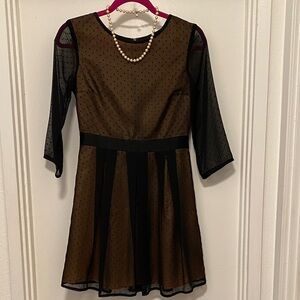 H&M Black and Tan Sheer Dress